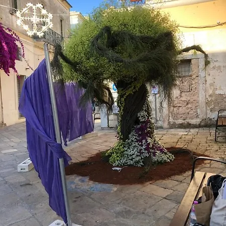 Affittasi Casa A Casa Di Emma *