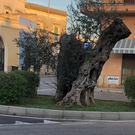 Affittasi Casa A Casa Di Emma Casa vacanze